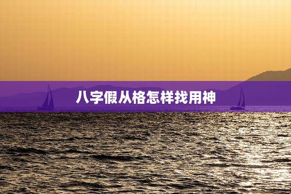 八字假从格怎样找用神