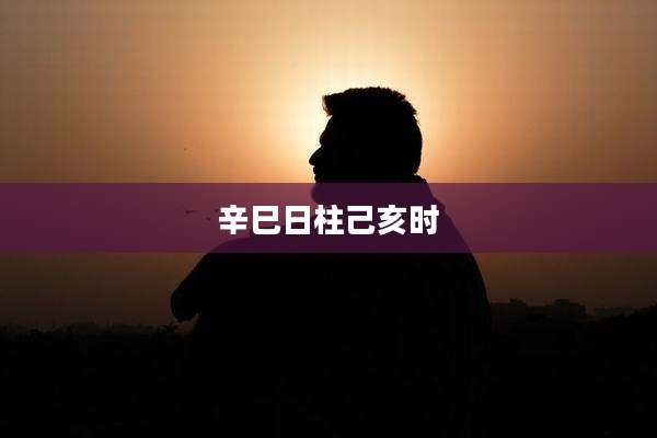 辛巳日柱己亥时