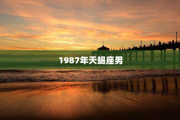 1987年天蝎座男