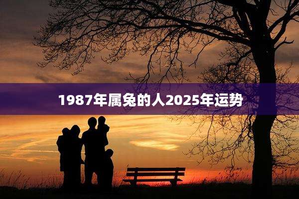 1987年属兔的人2025年运势