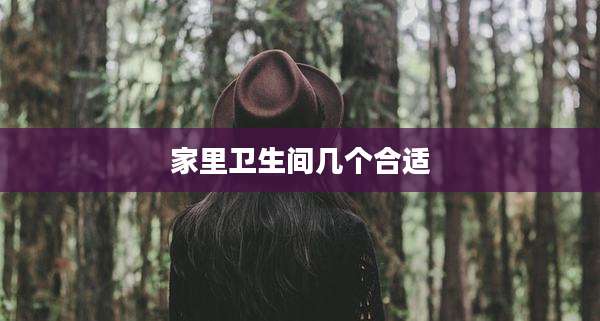 家里卫生间几个合适