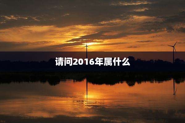 请问2016年属什么