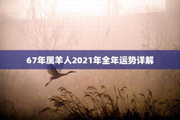 67年属羊人2021年全年运势详解