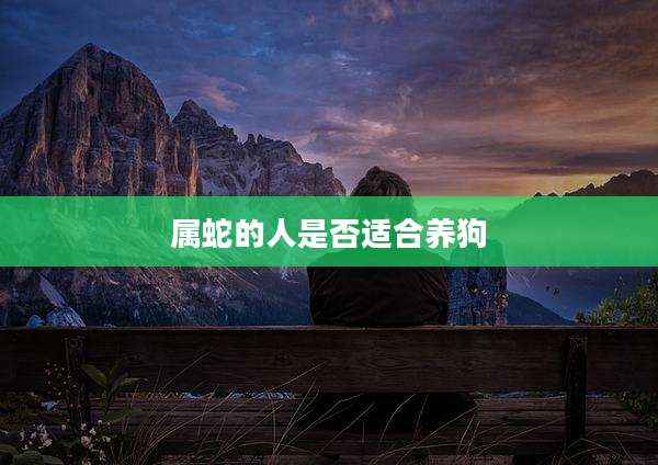 属蛇的人是否适合养狗