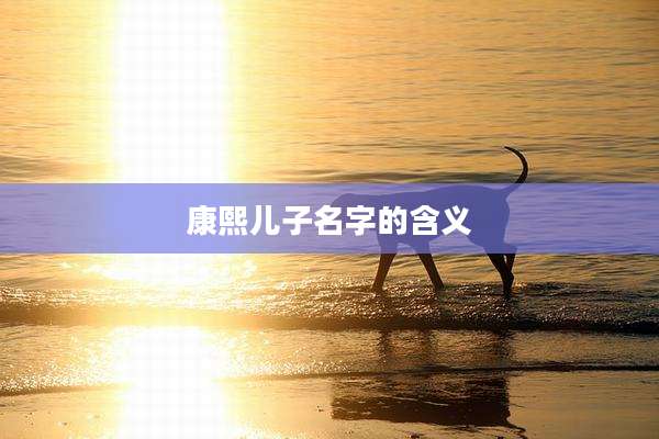 康熙儿子名字的含义