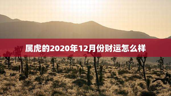 属虎的2020年12月份财运怎么样