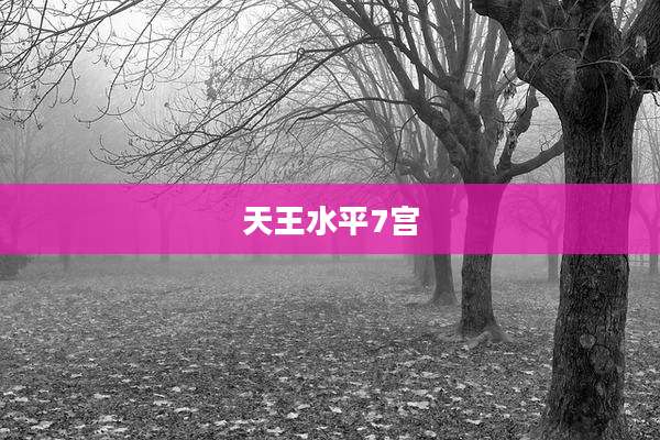 天王水平7宫