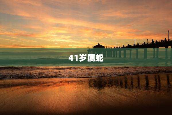 41岁属蛇