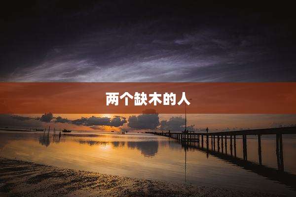 两个缺木的人