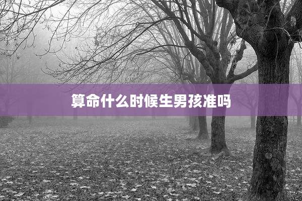 算命什么时候生男孩准吗