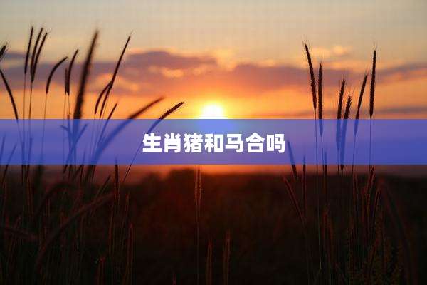 生肖猪和马合吗
