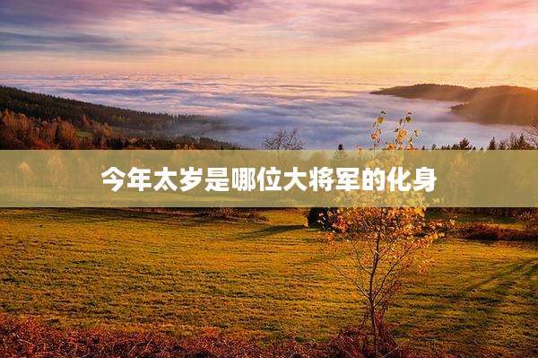 今年太岁是哪位大将军的化身