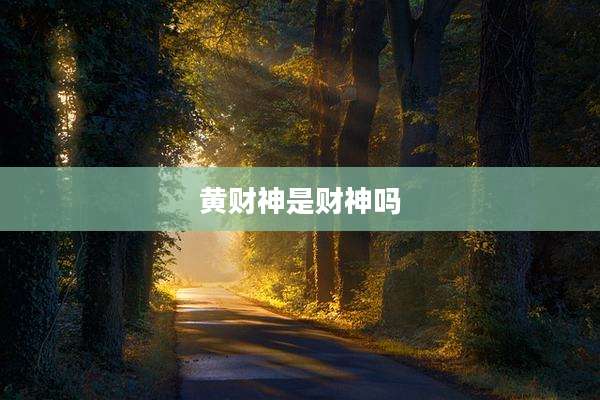 黄财神是财神吗