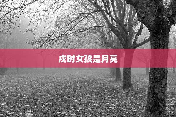 戌时女孩是月亮