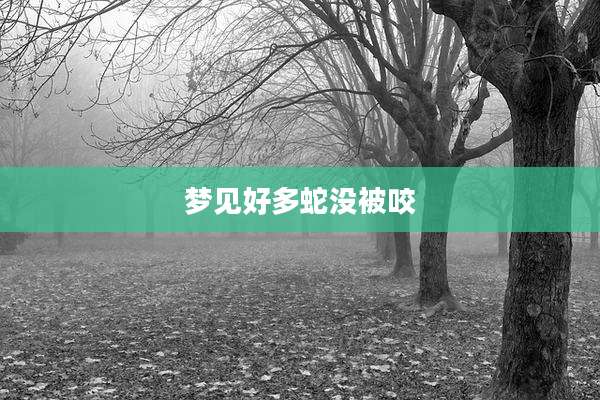梦见好多蛇没被咬