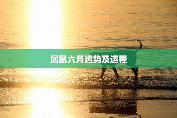 属鼠六月运势及运程