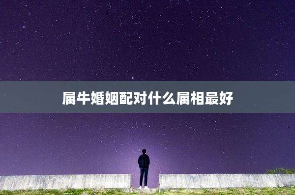 属牛婚姻配对什么属相最好