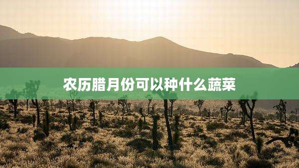 农历腊月份可以种什么蔬菜