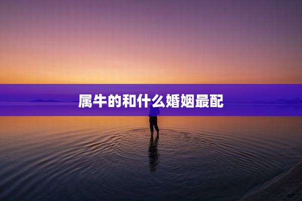 属牛的和什么婚姻最配