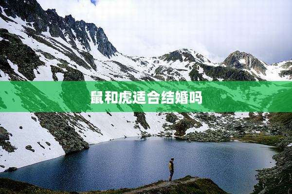 鼠和虎适合结婚吗