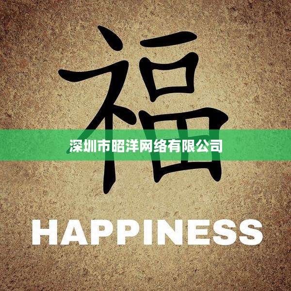 深圳市昭洋网络有限公司
