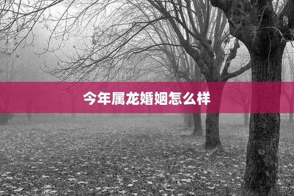 今年属龙婚姻怎么样