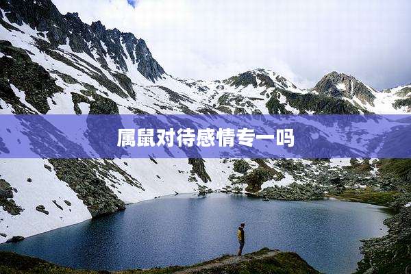 属鼠对待感情专一吗