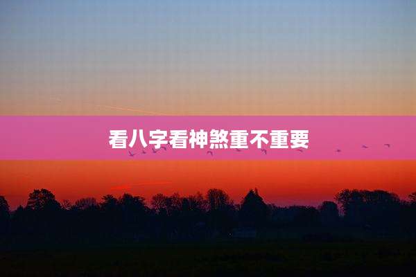 看八字看神煞重不重要