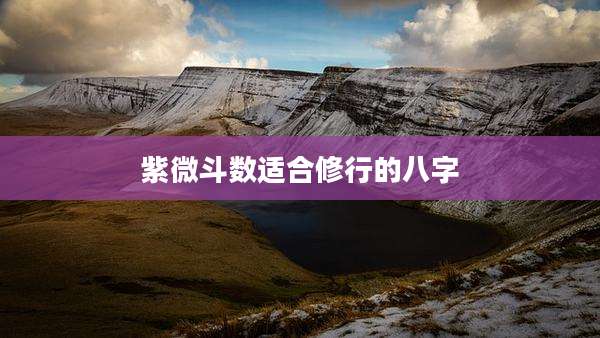 紫微斗数适合修行的八字