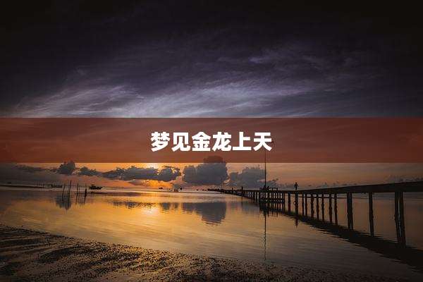 梦见金龙上天