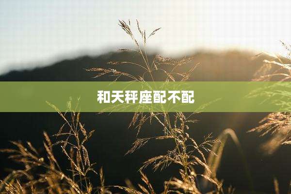 和天秤座配不配