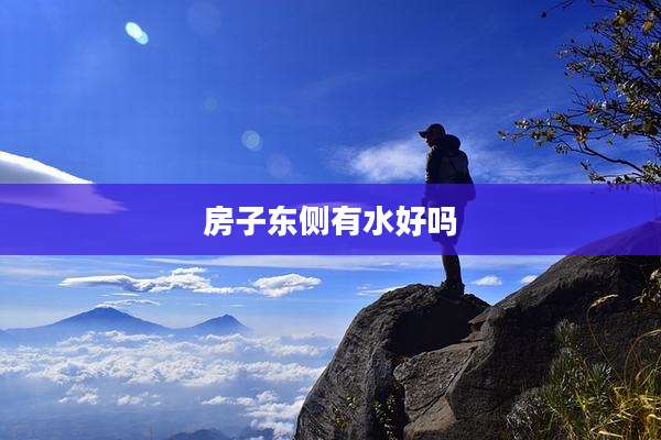 房子东侧有水好吗