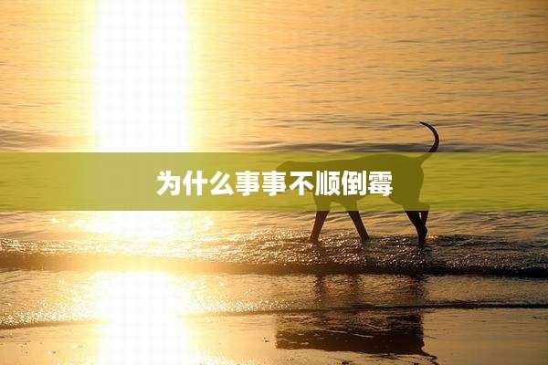 为什么事事不顺倒霉