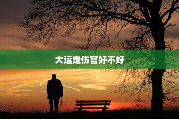 大运走伤官好不好
