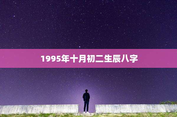 1995年十月初二生辰八字