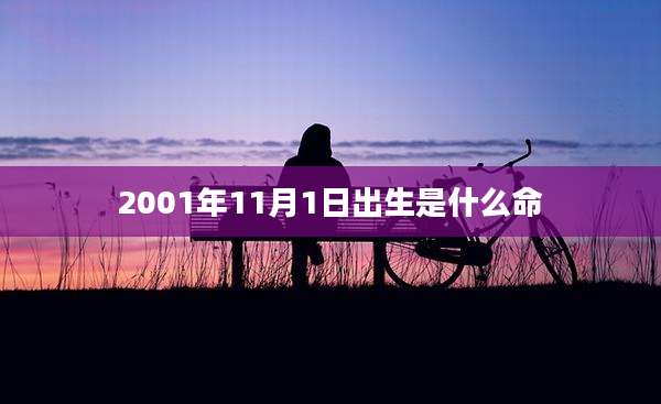 2001年11月1日出生是什么命