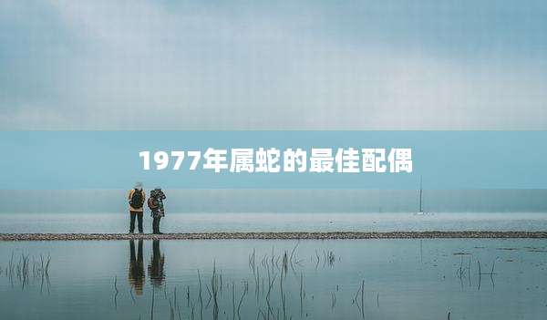 1977年属蛇的最佳配偶