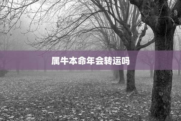 属牛本命年会转运吗