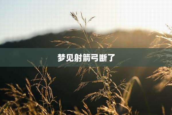 梦见射箭弓断了