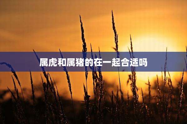 属虎和属猪的在一起合适吗