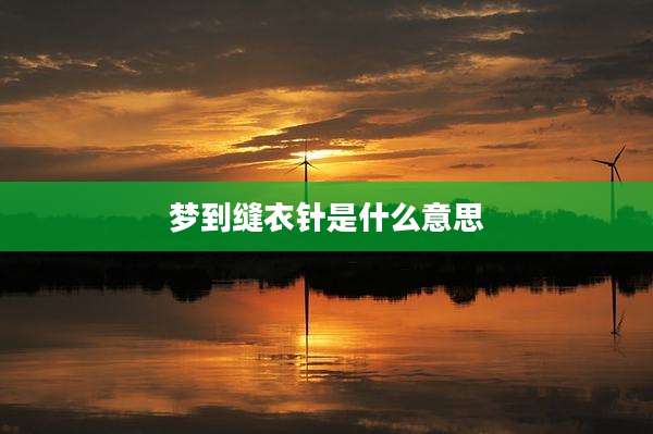梦到缝衣针是什么意思