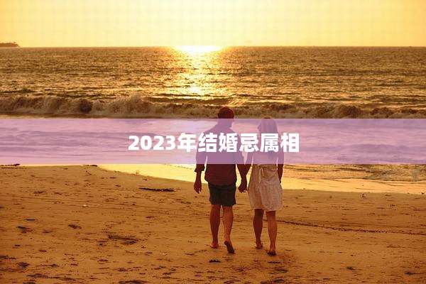 2023年结婚忌属相