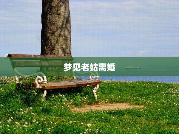 梦见老姑离婚