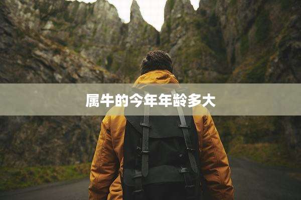 属牛的今年年龄多大
