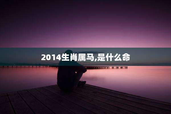 2014生肖属马,是什么命