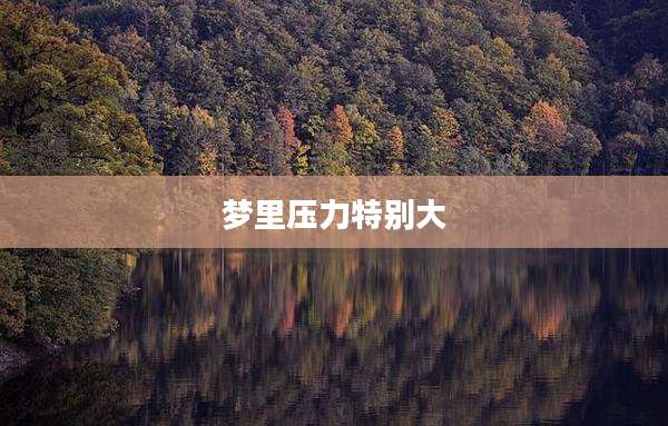 梦里压力特别大
