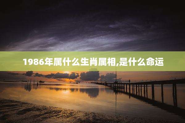 1986年属什么生肖属相,是什么命运