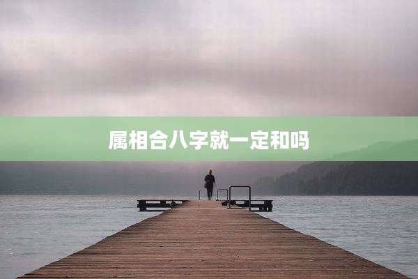 属相合八字就一定和吗