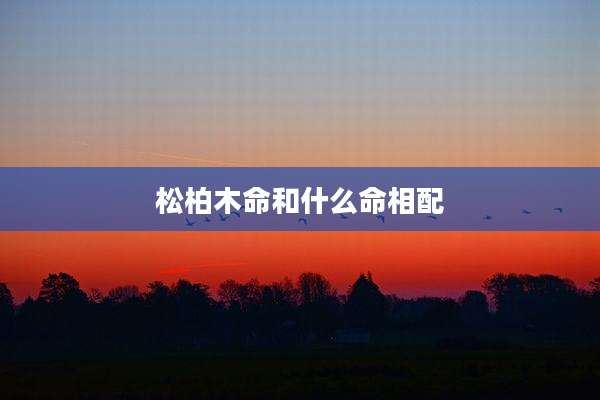 松柏木命和什么命相配