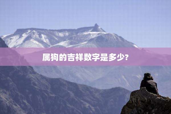 属狗的吉祥数字是多少?